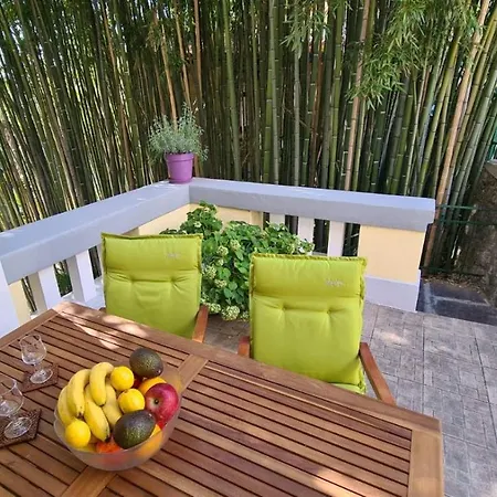 Bamboo 5 奥帕提亚