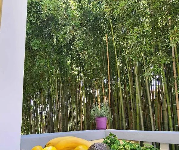 Bamboo 5