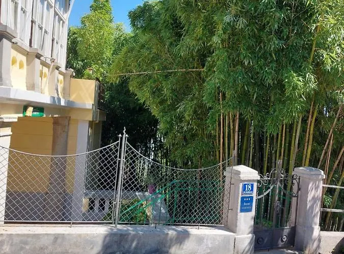 Bamboo 5
