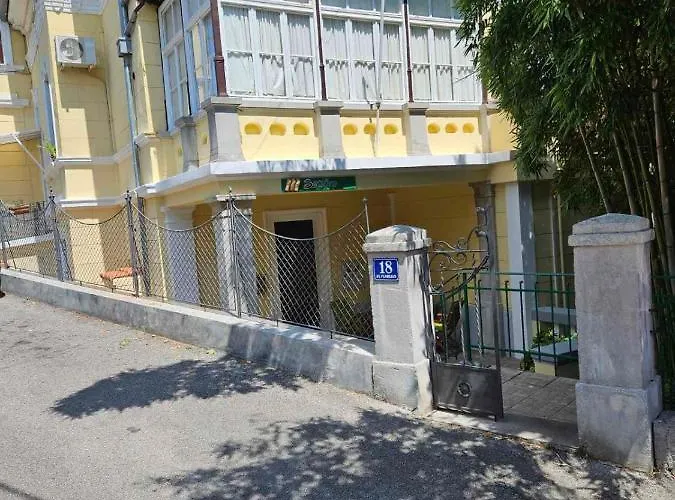 Bamboo 5 オパティヤ